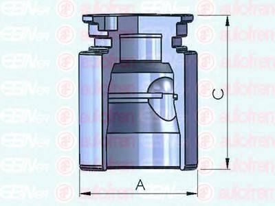 AUTOFREN SEINSA D025221 Поршень, корпус скоби гальма